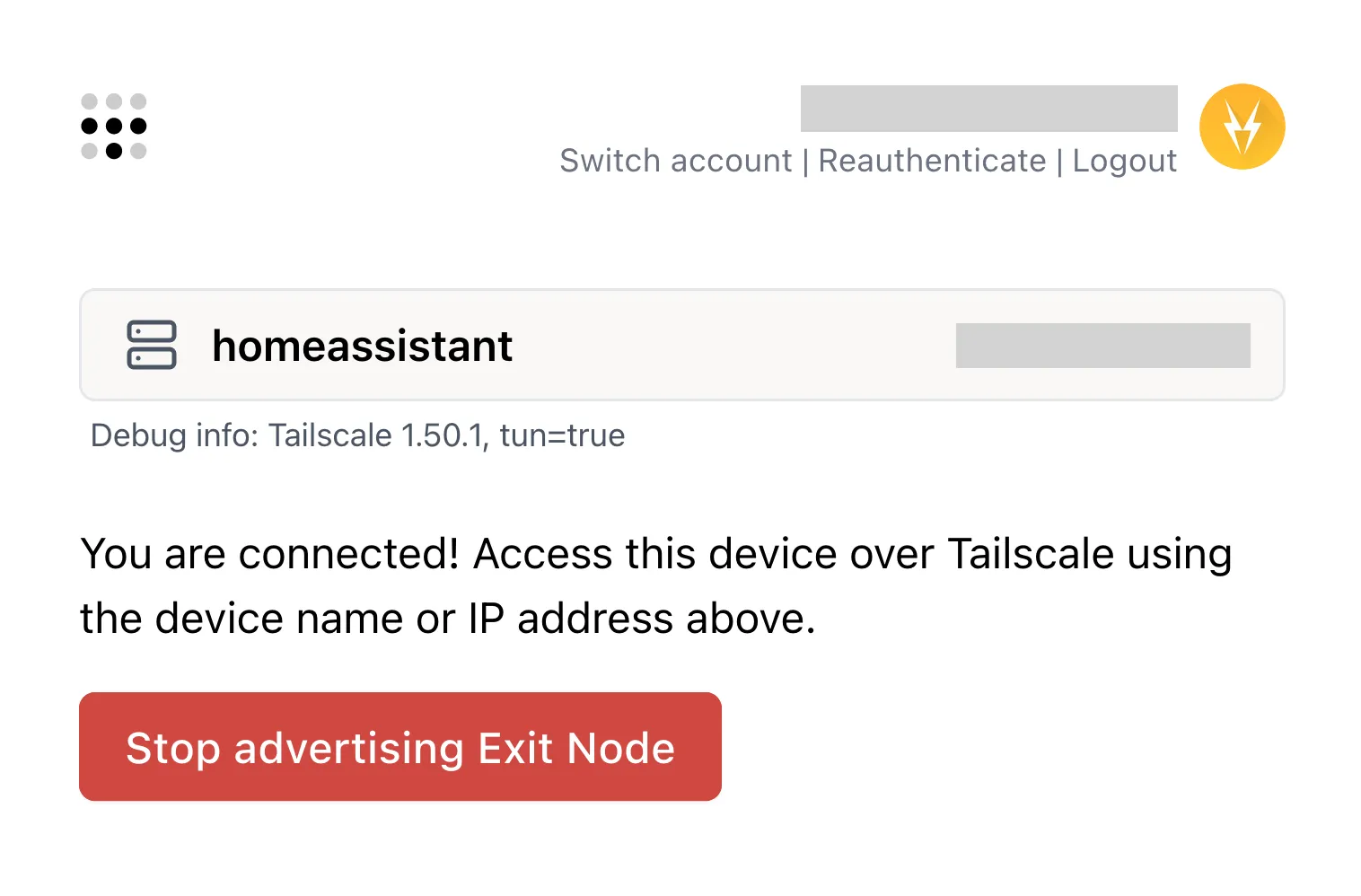 Screenshot of the web ui of the Tailscale addon, showing Home Assistant is connected to Tailscale
